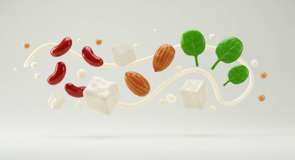 How to get enough protein on a vegetarian diet 1 Understanding your protein needs on a vegetarian diet